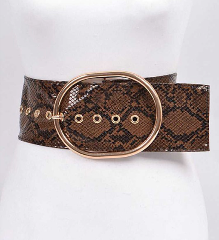 Iconic Printed Wide Belt: Brown